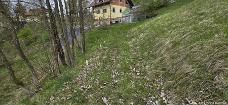 Sanacija plazov (8)
